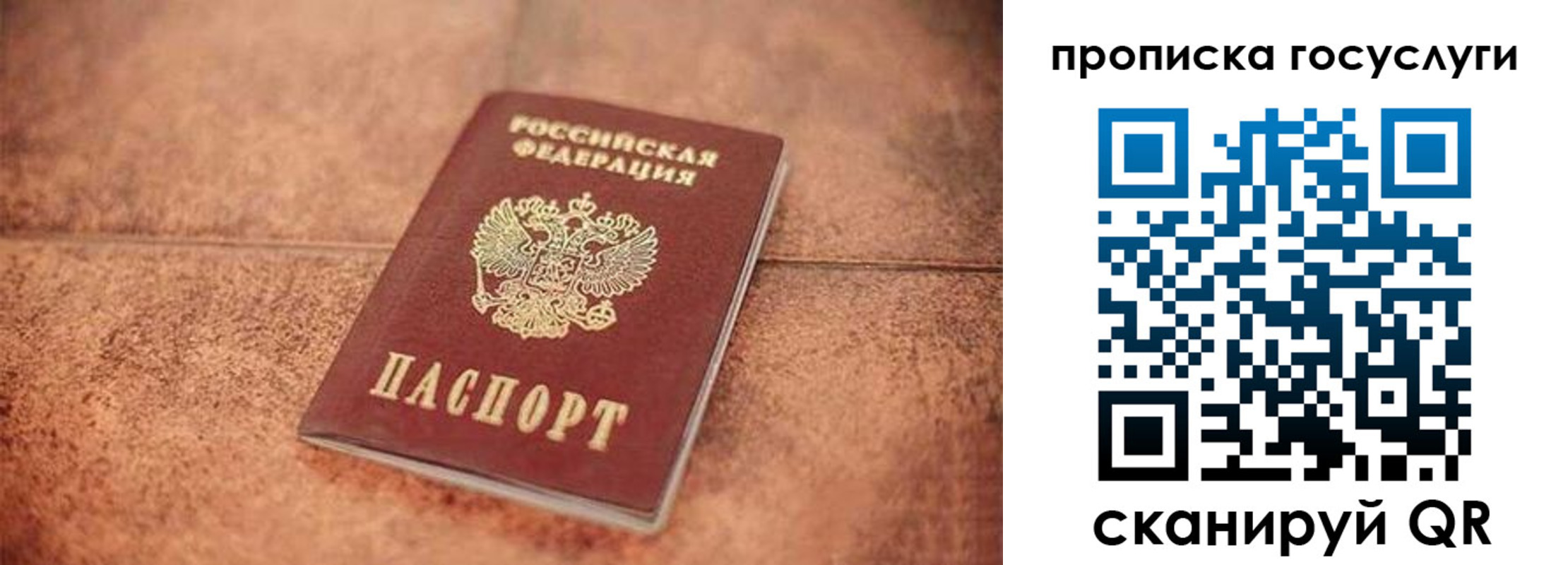 прописка законно в Чкаловске